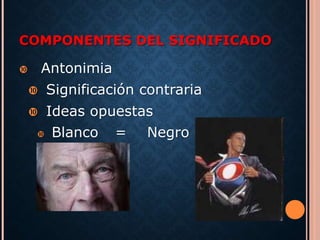 COMPONENTES DEL SIGNIFICADO 
 Antonimia 
 Significación contraria 
 Ideas opuestas 
 Blanco = Negro 
 