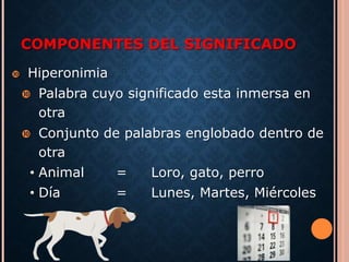 COMPONENTES DEL SIGNIFICADO 
 Hiperonimia 
 Palabra cuyo significado esta inmersa en 
otra 
 Conjunto de palabras englobado dentro de 
otra 
• Animal = Loro, gato, perro 
• Día = Lunes, Martes, Miércoles 
 