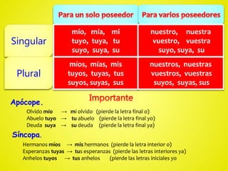 Singular
Plural
mío, mía, mi
tuyo, tuya, tu
suyo, suya, su
nuestro, nuestra
vuestro, vuestra
suyo, suya, su
míos, mías, mis
tuyos, tuyas, tus
suyos, suyas, sus
nuestros, nuestras
vuestros, vuestras
suyos, suyas, sus
Hermanos míos → mis hermanos (pierde la letra interior o)
Esperanzas tuyas → tus esperanzas (pierde las letras interiores ya)
Anhelos tuyos → tus anhelos (pierde las letras iniciales yo
Apócope.
Síncopa.
Olvido mío → mi olvido (pierde la letra final o)
Abuelo tuyo → tu abuelo (pierde la letra final yo)
Deuda suya → su deuda (pierde la letra final ya)
 