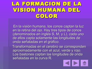 LA FORMACION DE LA
VISION HUMANA DEL
      COLOR
En la visión humana, los conos captan la luz
en la retina del ojo. Hay tres tipos de conos
(denominados en inglés S, M, y L), cada uno
de ellos capta solamente las longitudes de
onda señaladas en el gráfico.
Transformadas en el cerebro se corresponden
aproximadamente con el azul, verde y rojo.
Los bastones captan las longitudes de onda
señaladas en la curva R.
 