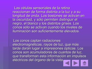 Las células sensoriales de la retina
reaccionan de forma distinta a la luz y a su
longitud de onda. Los bastones se activan en
la oscuridad, y sólo permiten distinguir el
negro, el blanco y los distintos grises. Los
conos sólo se activan cuando los niveles de
iluminación son suficientemente elevados.

 Los conos captan radiaciones
electromagnéticas, rayos de luz, que más
tarde darán lugar a impresiones ópticas. Los
conos son acumuladores de cuantos de luz,
que transforman esta información en impulsos
eléctricos del órgano de la vista.
 