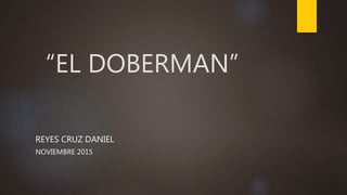 “EL DOBERMAN”
REYES CRUZ DANIEL
NOVIEMBRE 2015
 