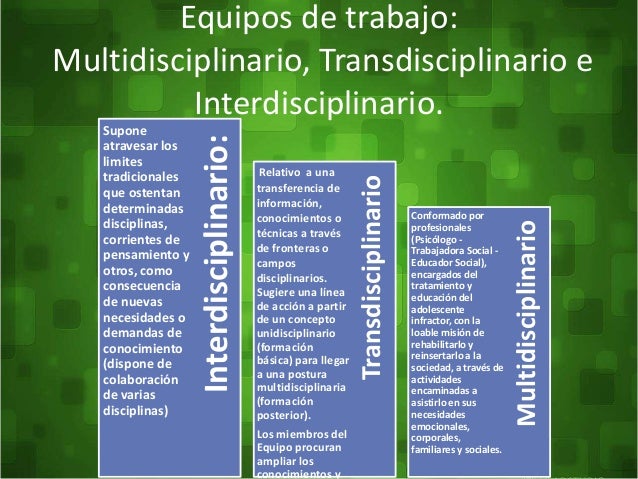 Diferencia Entre Multidisciplinario E Interdisciplinario Y Transdisciplinario