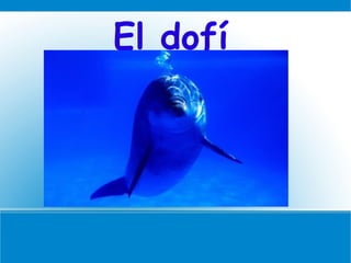 El dofí 
