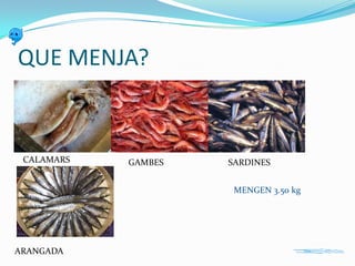 QUE MENJA?

CALAMARS

GAMBES

SARDINES
MENGEN 3.50 kg

ARANGADA

 