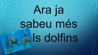 Ara ja
sabeu més
dels dolfins
 