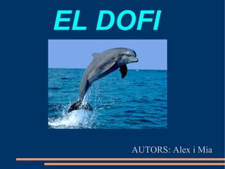EL DOFI   ,[object Object]