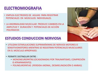 • EMPLEA ELECTRODOS DE AGUJAS PARA REGISTRAR
POTENCIALES EN MÚSCULOS INDIVIDUALES.
• LA ANORMALIDAD MUSCULAR PRODUCE CAMBIOS EN LA
AMPLITUD Y DURACIÓN Y POTENCIALES DE ACCIÓN
POLIFÁSICOS
• UTILIZAN ESTIMULACIONES SUPRAMÁXIMAS DE NERVIOS MOTORES O
SENSITIVOMOTORES MIENTRAS SE REGISTRAN POTENCIALES MUSCULARES
EN EL MÚSCULO APROPIADO.
• PERMITE DISTINGUIR ENTRE :
• MONONEUROPATÍAS (OCASIONADAS POR TRAUMATISMO, COMPRESIÓN
O ATRAPAMIENTO)
• POLINEUROPATIAS (PERDIDA AXONAL, DESMIELINIZACIÓN O AMBAS)
 