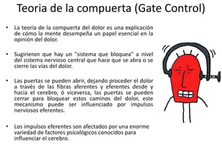 Teoria de la compuerta (Gate Control)
• La teoría de la compuerta del dolor es una explicación
de cómo la mente desempeña un papel esencial en la
opinión del dolor.
• Sugirieron que hay un "sistema que bloquea" a nivel
del sistema nervioso central que hace que se abra o se
cierre las vías del dolor.
• Las puertas se pueden abrir, dejando proceder el dolor
a través de las fibras aferentes y eferentes desde y
hacia el cerebro, ó viceversa, las puertas se pueden
cerrar para bloquear estos caminos del dolor, este
mecanismo puede ser influenciado por impulsos
nerviosos eferentes.
• Los impulsos eferentes son afectados por una enorme
variedad de factores psicológicos conocidos para
influenciar el cerebro.
 