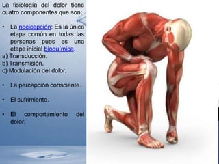 La fisiología del dolor tiene
cuatro componentes que son:

• La nocicepción: Es la única
   etapa común en todas las
   personas pues es una
   etapa inicial bioquímica.
a) Transducción.
b) Transmisión.
c) Modulación del dolor.

• La percepción consciente.

• El sufrimiento.

• El comportamiento       del
  dolor.
 