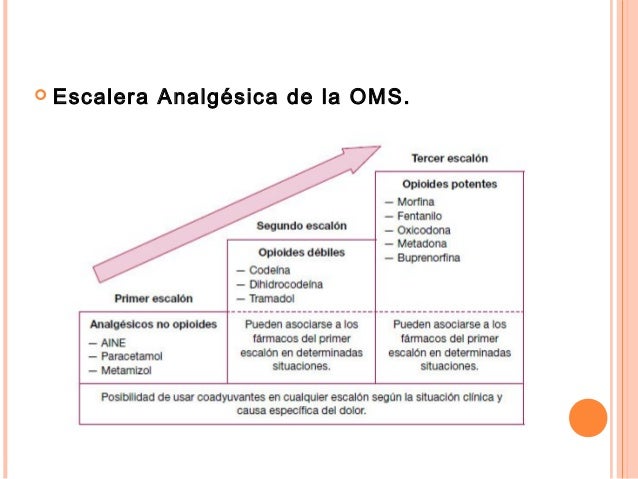(2012-09-05) El dolor (ppt)