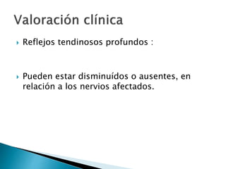  Reflejos tendinosos profundos :
 Pueden estar disminuídos o ausentes, en
relación a los nervios afectados.
 