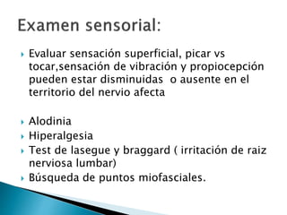  Evaluar sensación superficial, picar vs
tocar,sensación de vibración y propiocepción
pueden estar disminuidas o ausente en el
territorio del nervio afecta
 Alodinia
 Hiperalgesia
 Test de lasegue y braggard ( irritación de raiz
nerviosa lumbar)
 Búsqueda de puntos miofasciales.
 
