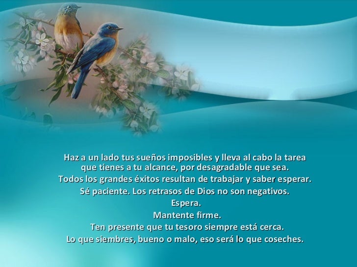 El don de las estrellas