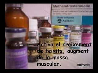 Activa el creixement de teixits, augment de la massa muscular. 