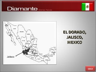 EL DORADO,EL DORADO,
JALISCO,JALISCO,
MEXICOMEXICO
C013
Jalisco
 