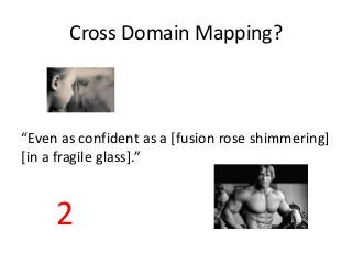 Cross Domain Mapping? 
“Even as confident as a [fusion rose shimmering] 
[in a fragile glass].” 
2 
 
