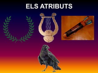 ELS ATRIBUTS 
 