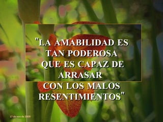 "LA AMABILIDAD ES TAN PODEROSA   QUE ES CAPAZ DE ARRASAR  CON LOS MALOS RESENTIMIENTOS" 17 de nov de 2009 