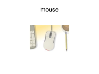 mouse
