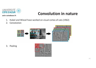 Fundamentals of Machine Learning Deep Learning Lecture 17.pdf