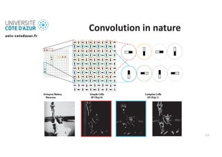 Fundamentals of Machine Learning Deep Learning Lecture 17.pdf