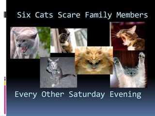 Six Cats Scare Family Members
Every Other Saturday Evening
 