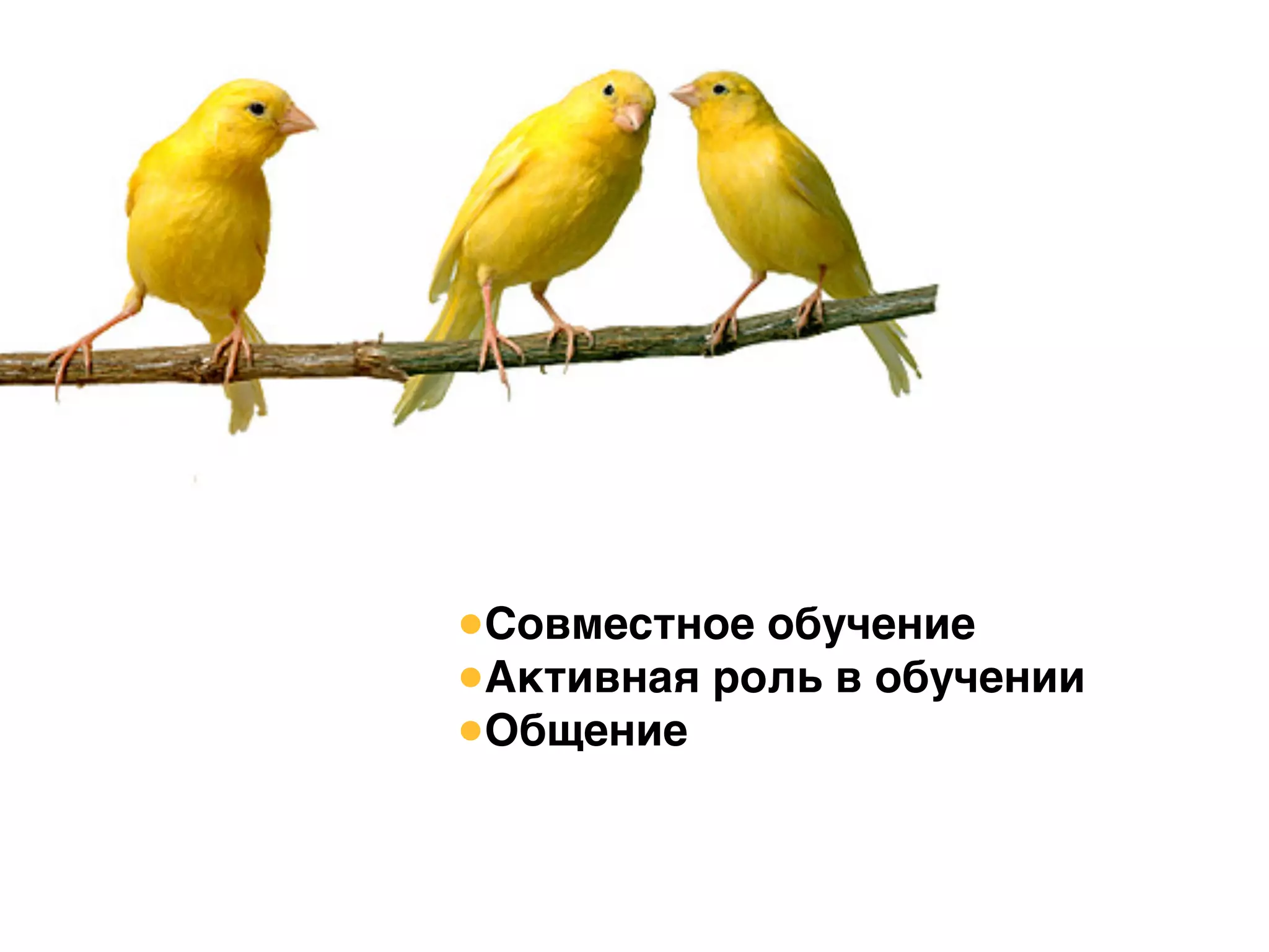 •Совместное обучение
•Активная роль в обучении
•Общение
 