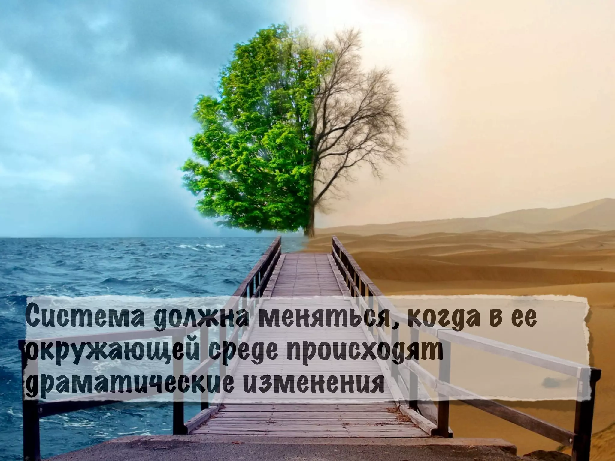 Система должна меняться, когда в ее
окружающей среде происходят
драматические изменения
 