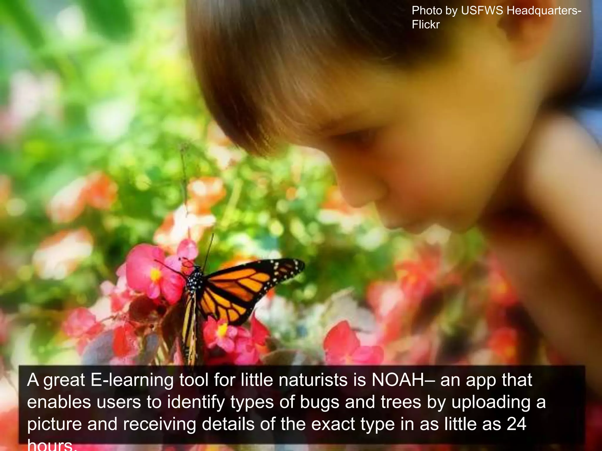Photo by USFWS Headquarters- FlickrA great E-learning tool for little naturists is NOAH– an app that enables users to identify types of bugs and trees by uploading a picture and receiving details of the exact type in as little as 24 hours.