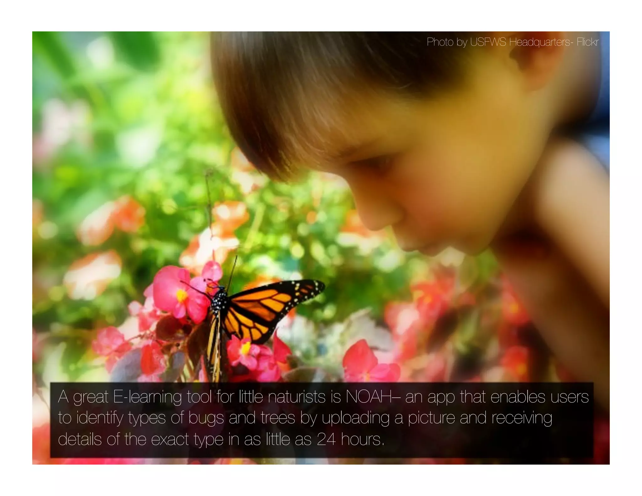 Photo by USFWS Headquarters- Flickr




A great E-learning tool for little naturists is NOAH– an app that enables users
to identify types of bugs and trees by uploading a picture and receiving
details of the exact type in as little as 24 hours.
 