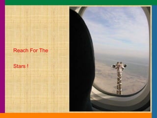 Reach For The Stars ! 