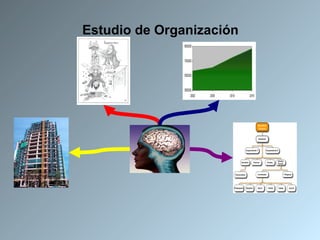 Estudio de Organización 