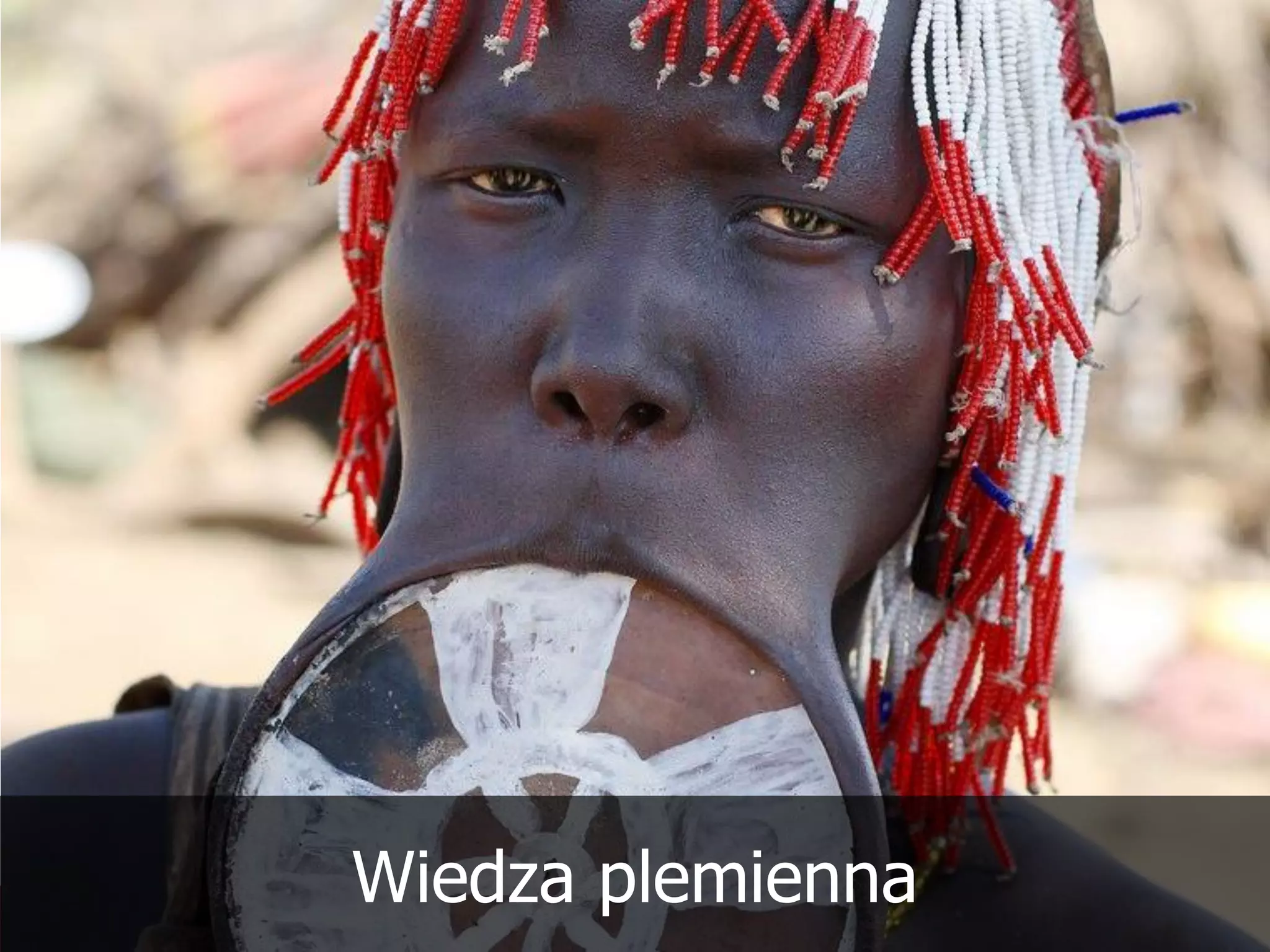 Wiedza plemienna
 