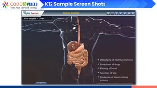 K12 Sample Screen Shots
 