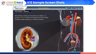 K12 Sample Screen Shots
 