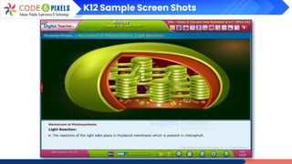 K12 Sample Screen Shots
 