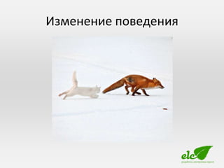 Изменение поведения
 