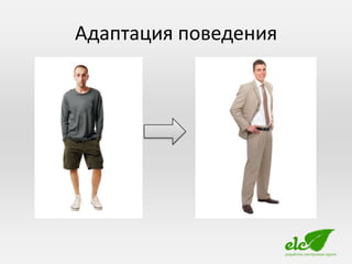 Адаптация поведения
 