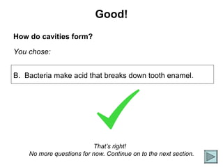 Good! How do cavities form? You chose: That’s right!  No more questions for now. Continue on to the next section. B.  Bacteria make acid that breaks down tooth enamel. 
