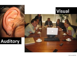 Auditory Visual Credit:  Jemsweb  (left) 