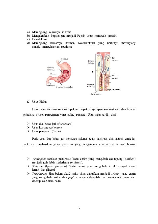 Elearning Topik6