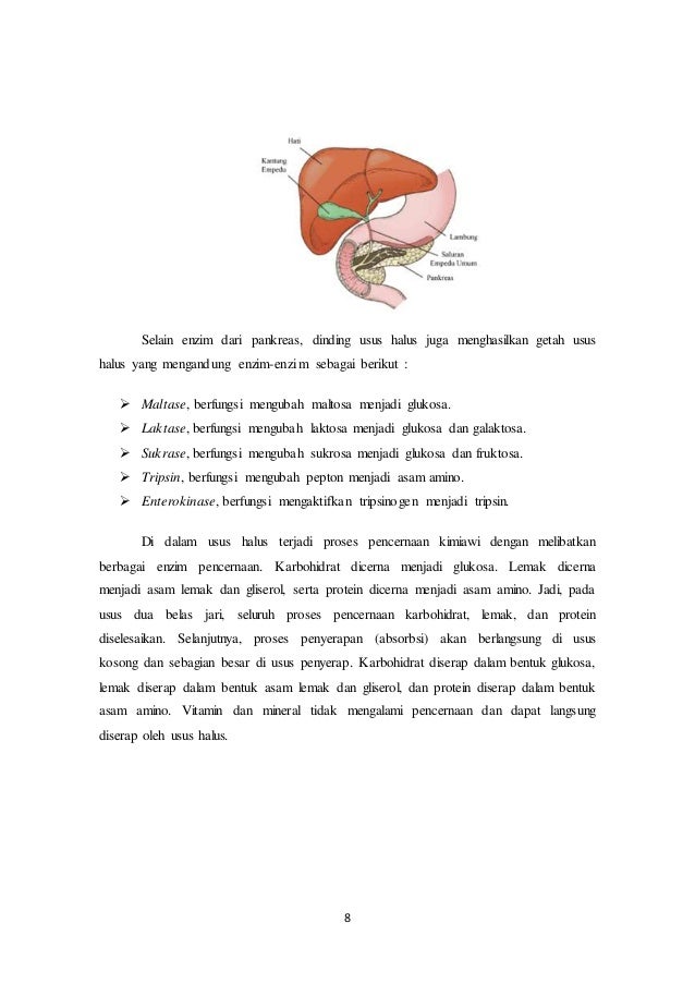 Elearning Topik6