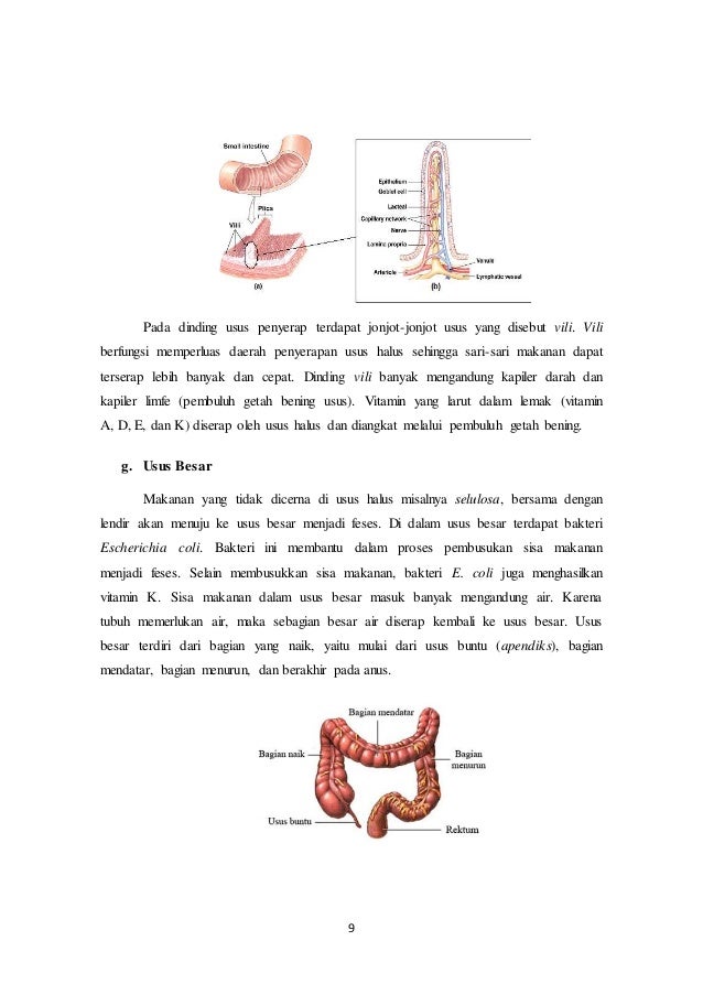 Elearning Topik6