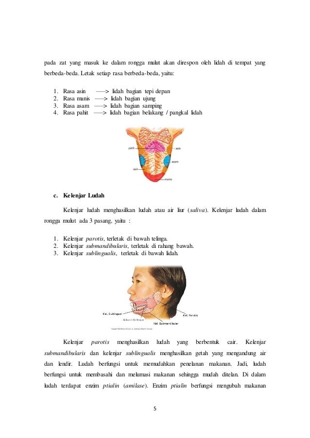 Elearning Topik6