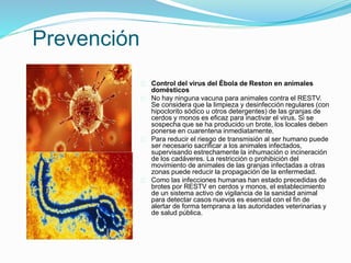 Prevención
Control del virus del Ébola de Reston en animales
domésticos
No hay ninguna vacuna para animales contra el RESTV.
Se considera que la limpieza y desinfección regulares (con
hipoclorito sódico u otros detergentes) de las granjas de
cerdos y monos es eficaz para inactivar el virus. Si se
sospecha que se ha producido un brote, los locales deben
ponerse en cuarentena inmediatamente.
Para reducir el riesgo de transmisión al ser humano puede
ser necesario sacrificar a los animales infectados,
supervisando estrechamente la inhumación o incineración
de los cadáveres. La restricción o prohibición del
movimiento de animales de las granjas infectadas a otras
zonas puede reducir la propagación de la enfermedad.
Como las infecciones humanas han estado precedidas de
brotes por RESTV en cerdos y monos, el establecimiento
de un sistema activo de vigilancia de la sanidad animal
para detectar casos nuevos es esencial con el fin de
alertar de forma temprana a las autoridades veterinarias y
de salud pública.
 