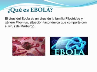 El virus del Ébola es un virus de la familia Filoviridae y
género Filovirus, situación taxonómica que comparte con
el virus de Marburgo.
¿Qué es EBOLA?
 