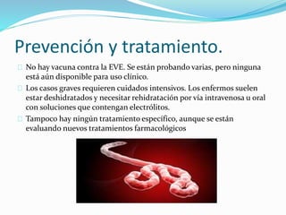 Prevención y tratamiento.
No hay vacuna contra la EVE. Se están probando varias, pero ninguna
está aún disponible para uso clínico.
Los casos graves requieren cuidados intensivos. Los enfermos suelen
estar deshidratados y necesitar rehidratación por vía intravenosa u oral
con soluciones que contengan electrólitos.
Tampoco hay ningún tratamiento específico, aunque se están
evaluando nuevos tratamientos farmacológicos
 