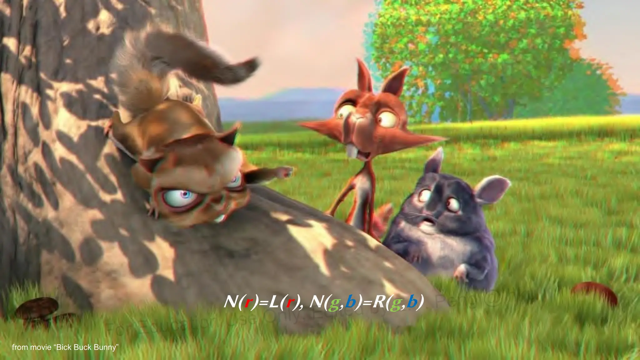 from movie “Bick Buck Bunny”
N(r)=L(r), N(g,b)=R(g,b)
For Education Use Only, Edited by E.Y. Peng @ hku
 