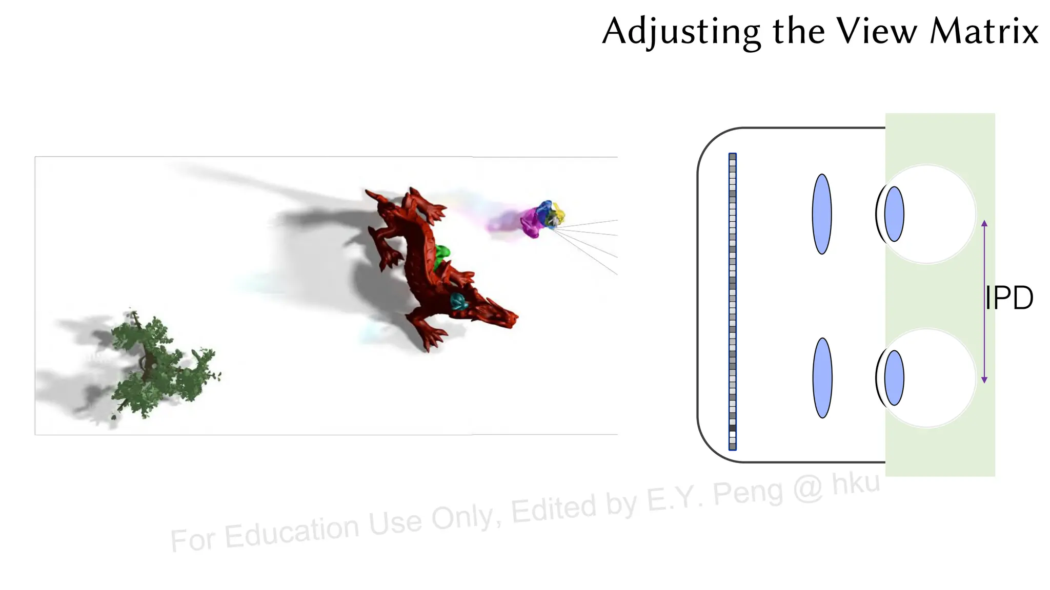 IPD
Adjusting the View Matrix
For Education Use Only, Edited by E.Y. Peng @ hku
 